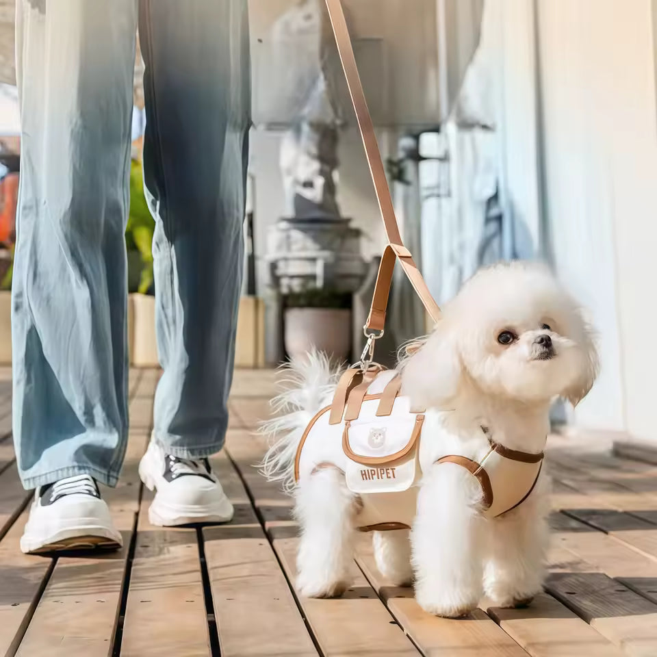 PomGlow Luxury Dog Carrier Harness for Small Dogs